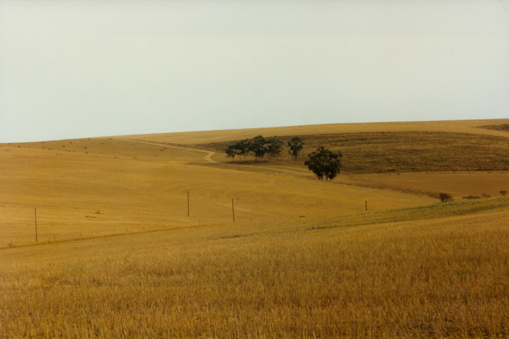 along the Garden Route