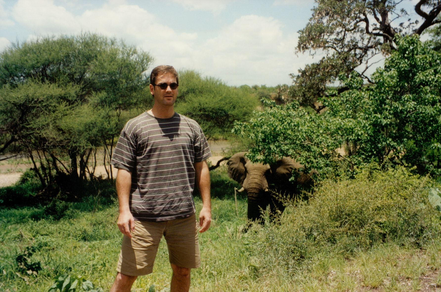 G and elephants