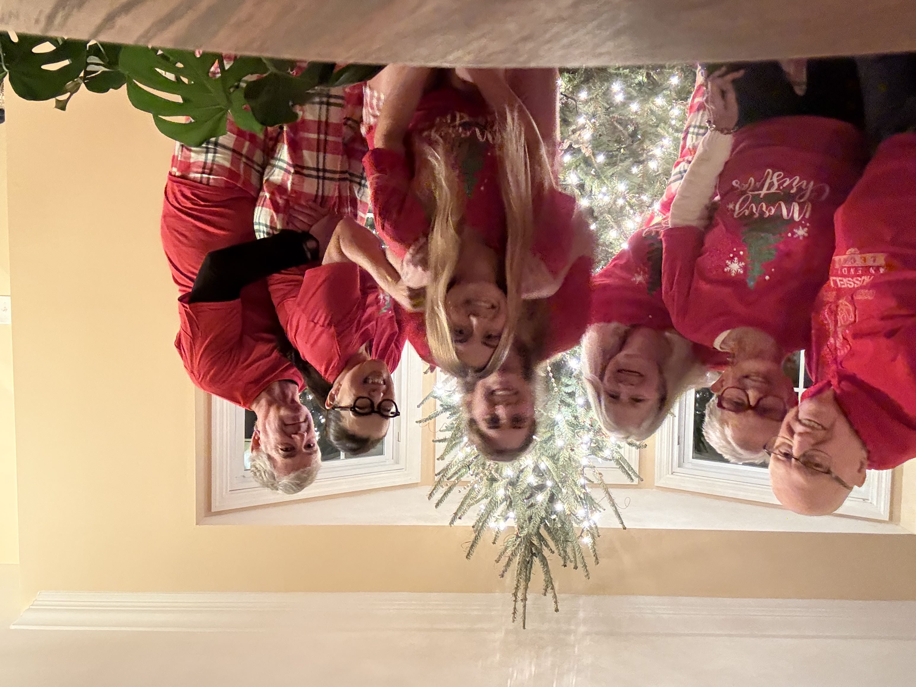 Picture of family in Cary at Christmas